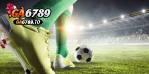 Kèo 3/4 là gì hot hit nhất tại các kèo cá cược