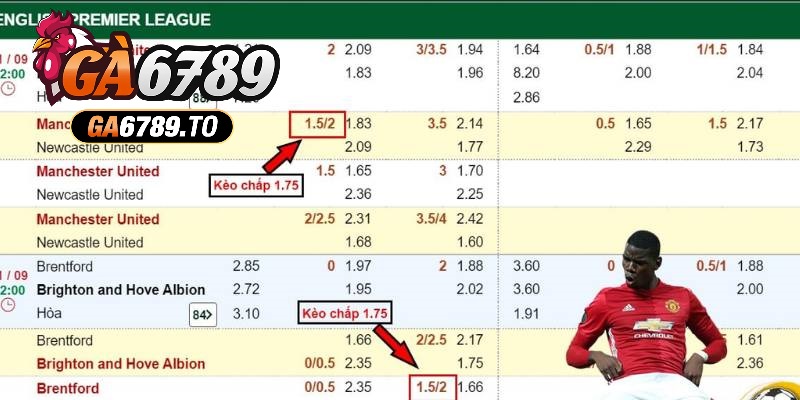 Kèo Chấp 1.75 Là Gì? Hướng Dẫn Đặt Cược Và Chiến Lược Hiệu Quả 2 Bảng tỷ lệ cá cược thể hiện kèo chấp 1.75 trái cho trận đấu