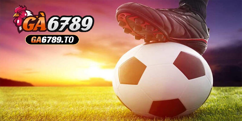 Kèo Chấp Nửa Trái Là Gì? Kinh Nghiệm Cá Cược Từ Ga6789 2 Tìm hiểu về cách đọc của kèo chấp nửa trái là sao