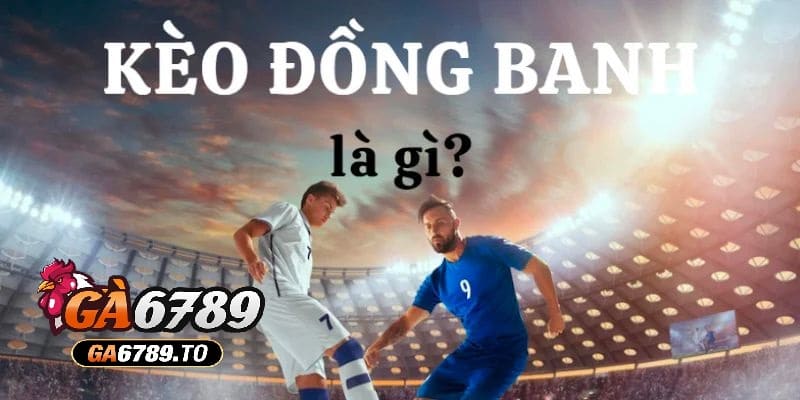 Tổng quan về thể loại kèo đồng banh