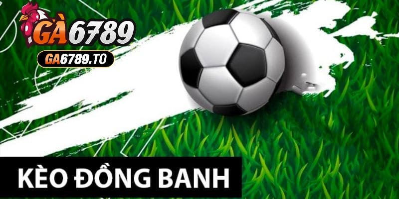 Kinh nghiệm soi kèo đồng banh là gì đỉnh cao nhất