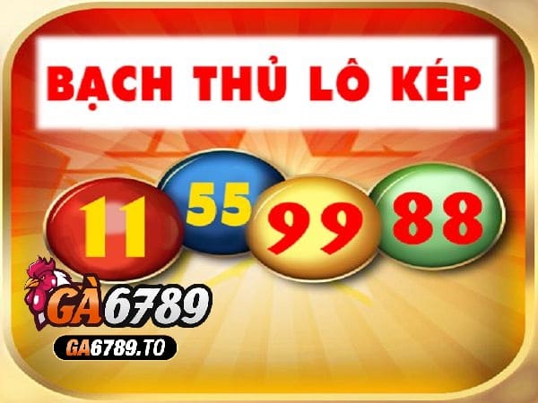 Soi lô cầu kép là gì? Các loại soi lô cầu kép phổ biến