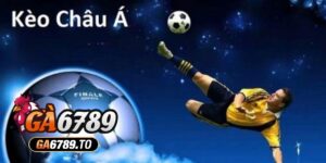 Nguồn gốc và đặc điểm của soi kèo châu á