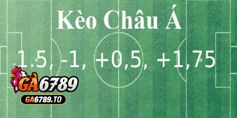 Soi kèo Châu Á có những tỷ lệ nào?