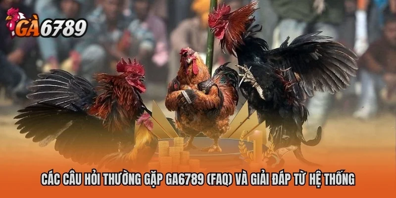 Trang chủ 33 Các câu hỏi thường gặp GA6789 (FAQ) và giải đáp từ hệ thống