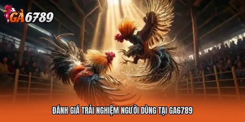 Trang chủ 27 Đánh giá trải nghiệm người dùng tại GA6789